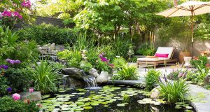 Ecco come ho trasformato il mio giardino in un’oasi di frescura con pochi semplici passi