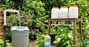 Scopri 3 sistemi di irrigazione fai-da-te con materiali reciclati: il tuo giardino ti ringrazierà!