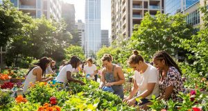 Scopri come i giardini comunitari nel 2025 trasformano le città in oasi di biodiversità e connessione sociale
