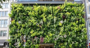 Scopri come i giardini verticali stanno rivoluzionando gli spazi urbani nel 2025 e perché non puoi perderteli!