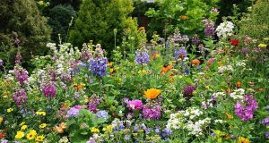 Scopri come la biodiversità può salvare il tuo giardino dai puceroni: soluzioni naturali da non perdere!