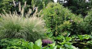 Scopri le 6 piante vietate nel tuo giardino: rischi e conseguenze legali da non sottovalutare!