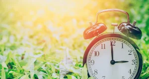 Scopri l’ora magica per annaffiare: raddoppia la crescita delle tue piante!