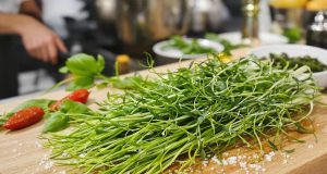 Scopri perché la salicornia sta rivoluzionando la cucina professionale: un’alternativa vegetale al sale da non perdere!