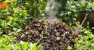 5 errori devastanti che rovinano il tuo compost in estate senza che tu lo sappia