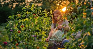 Ecco perché innaffiare i pomodori di sera in silenzio è un’esperienza che ti cambierà la vita
