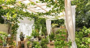 Estate 2025: ecco come creare un angolo d’ombra magico nel tuo giardino senza spendere un centesimo