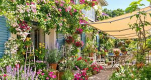 Rivela i segreti per proteggere le tue piante dal caldo: 7 trucchi per un balcone fiorito anche in estate