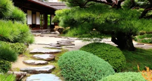 Scopri come creare il tuo angolo lettura zen e sfuggire al caldo: 5 semplici idee per un oasis di freschezza!