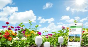 Scopri come ho rivoluzionato l’irrigazione del mio giardino con un’app gratuita e sensori intelligenti