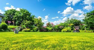 Scopri i 5 segreti per salvare il tuo prato dal sole di luglio e mantenerlo verde e rigoglioso