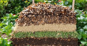 Scopri il compostaggio “lasagne”: il trucco geniale per un terreno super fertile!