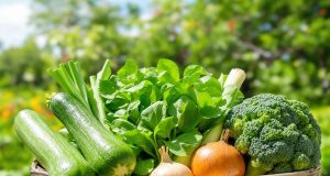 5 ortaggi da coltivare per le tue quiche casalinghe: scopri il segreto del gusto fresco!