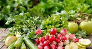 Scopri 5 ricette fresche e semplici con i ravanelli del tuo giardino che ti sorprenderanno!
