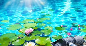 Scopri 5 trucchi naturali che renderanno la tua piscina impeccabile per tutta l’estate!