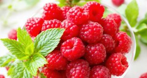 Scopri come mantenere le tue framboise fresche per giorni: 5 segreti che non conosci!
