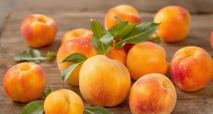 Scopri come scegliere l’abricot perfetto: 5 segreti che non puoi ignorare!