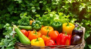 Scopri le meraviglie dell’orto di agosto: 5 ricette irresistibili per valorizzare i tuoi ortaggi freschi