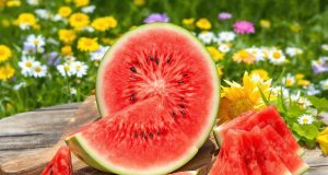 Scopri perché la past Melone è il tuo alleato segreto per combattere la disidratazione quest’estate!