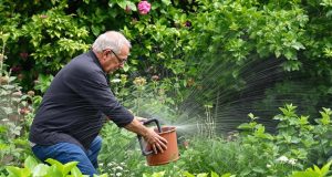 Ecco perché dovresti continuare ad annaffiare il tuo orto a settembre: i segreti di nonno rivelati!