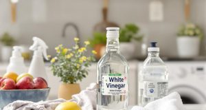 Scopri i 5 incredibili usi del vino bianco che mia nonna mi ha insegnato: non crederai ai tuoi occhi!