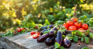 Scopri le 3 ricette facili con le melanzane del giardino di settembre che ti conquisteranno!